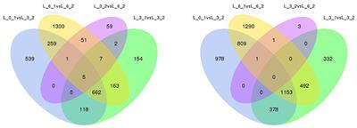 Corrigendum: Transcriptomic Identification of Drought-Related Genes and SSR Markers in Sudan Grass Based on RNA-Seq